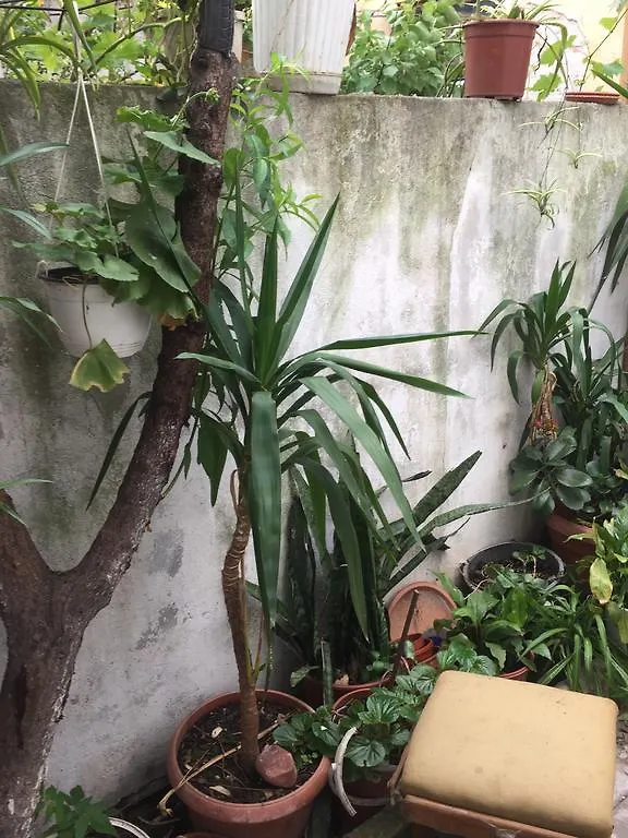 Vila 11 Bed & Breakfast Bucharest